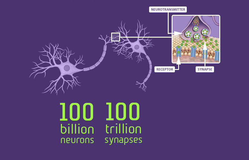 tiles-neurons